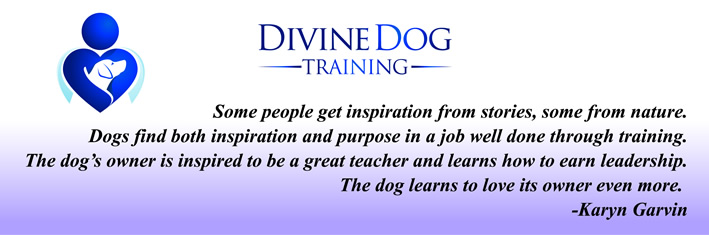 Dog Training Tucson | Dog Training Classes Tucson | 520 ...